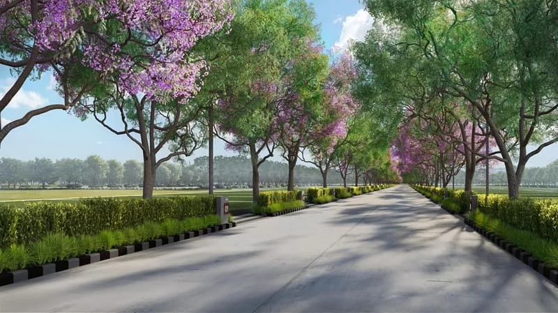 Assetz City of Palms at Devanahalli Assetz City of Palms at Devanahalli, Bangalore